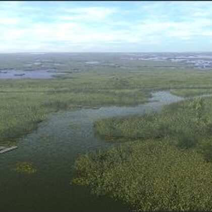 Floride Everglades - (18)