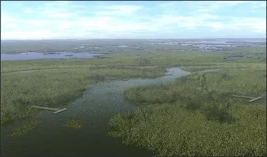 Floride Everglades - (18)