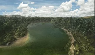 Missouri Mudwater - (4)
